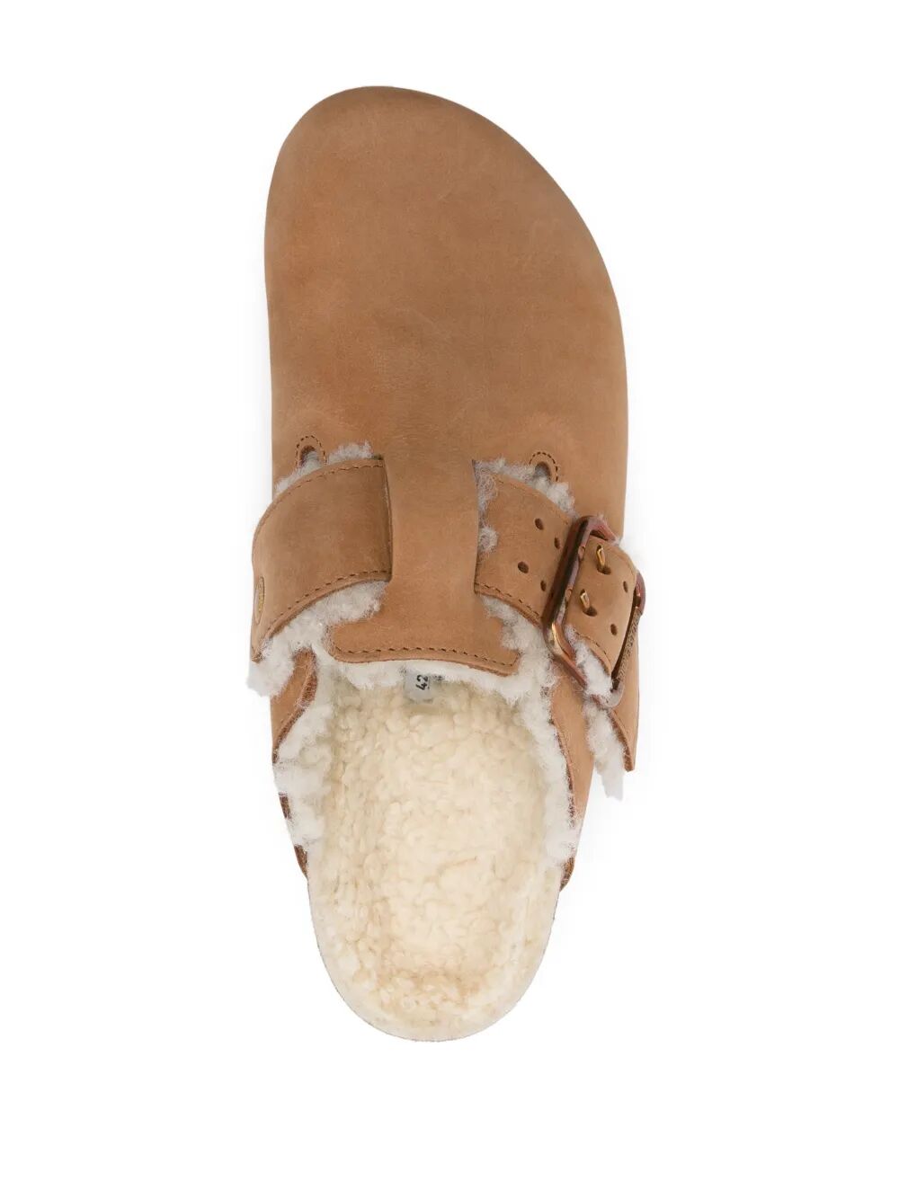 BOSTON BOLD SHEARLING