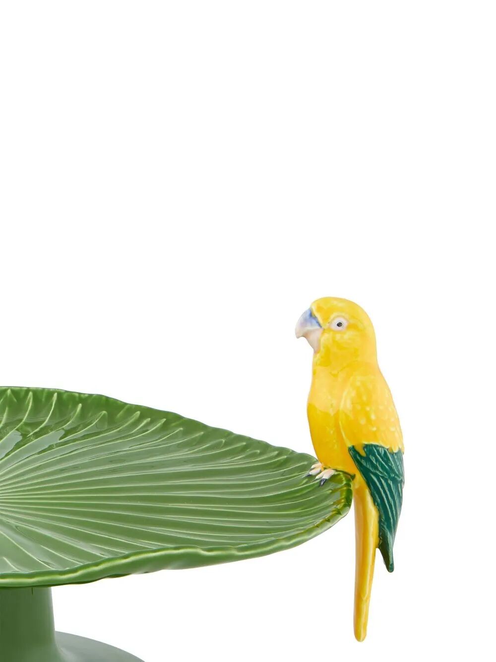 cake standard Amazinia