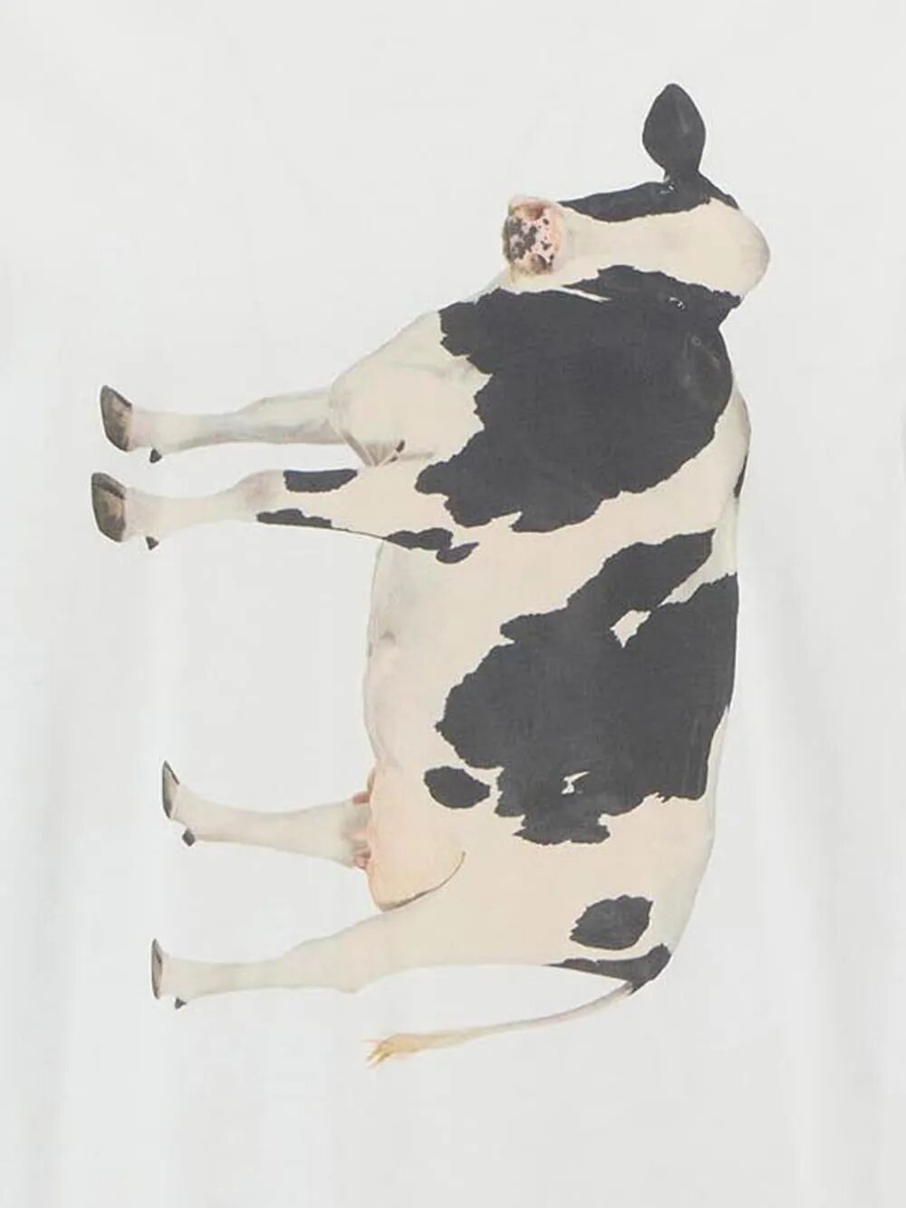 maglietta