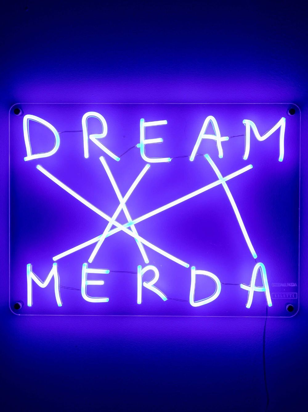 DECORAZIONE DREAM-MERDA