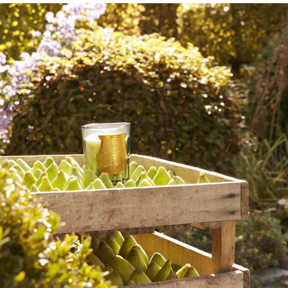 TRU FIGUERIE CLASSIC BOUGIE 270 G