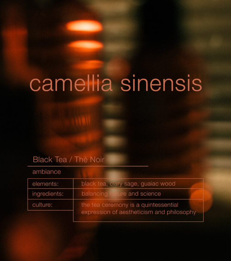 CAMELLIA SINENSIS