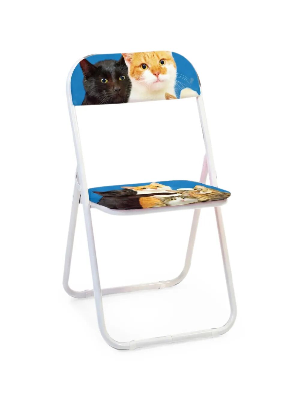 sedia pieghevole polycats