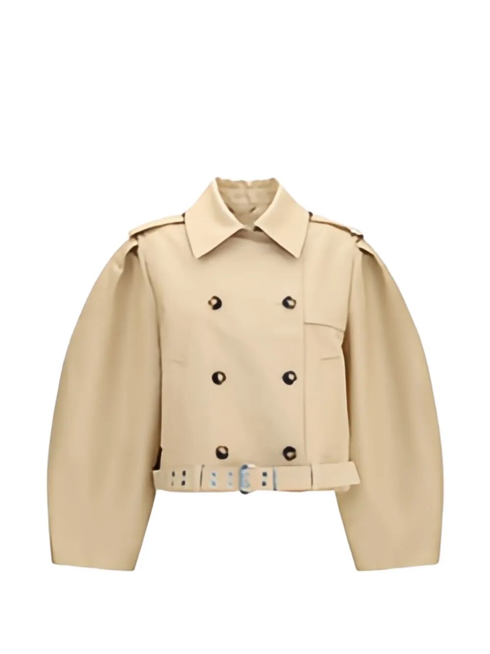 Belted Jacket