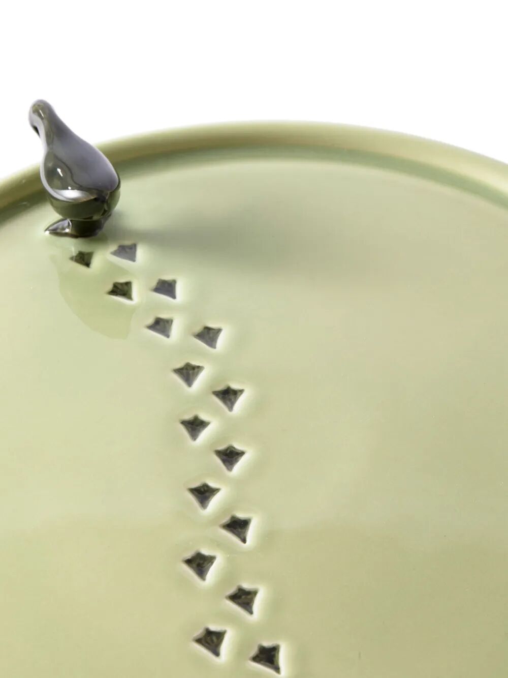 Plate walking duck green