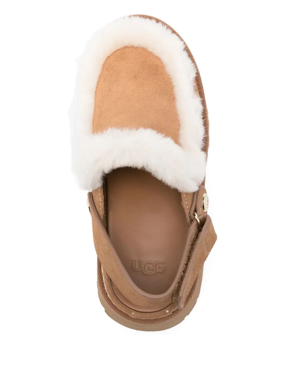 scarpa