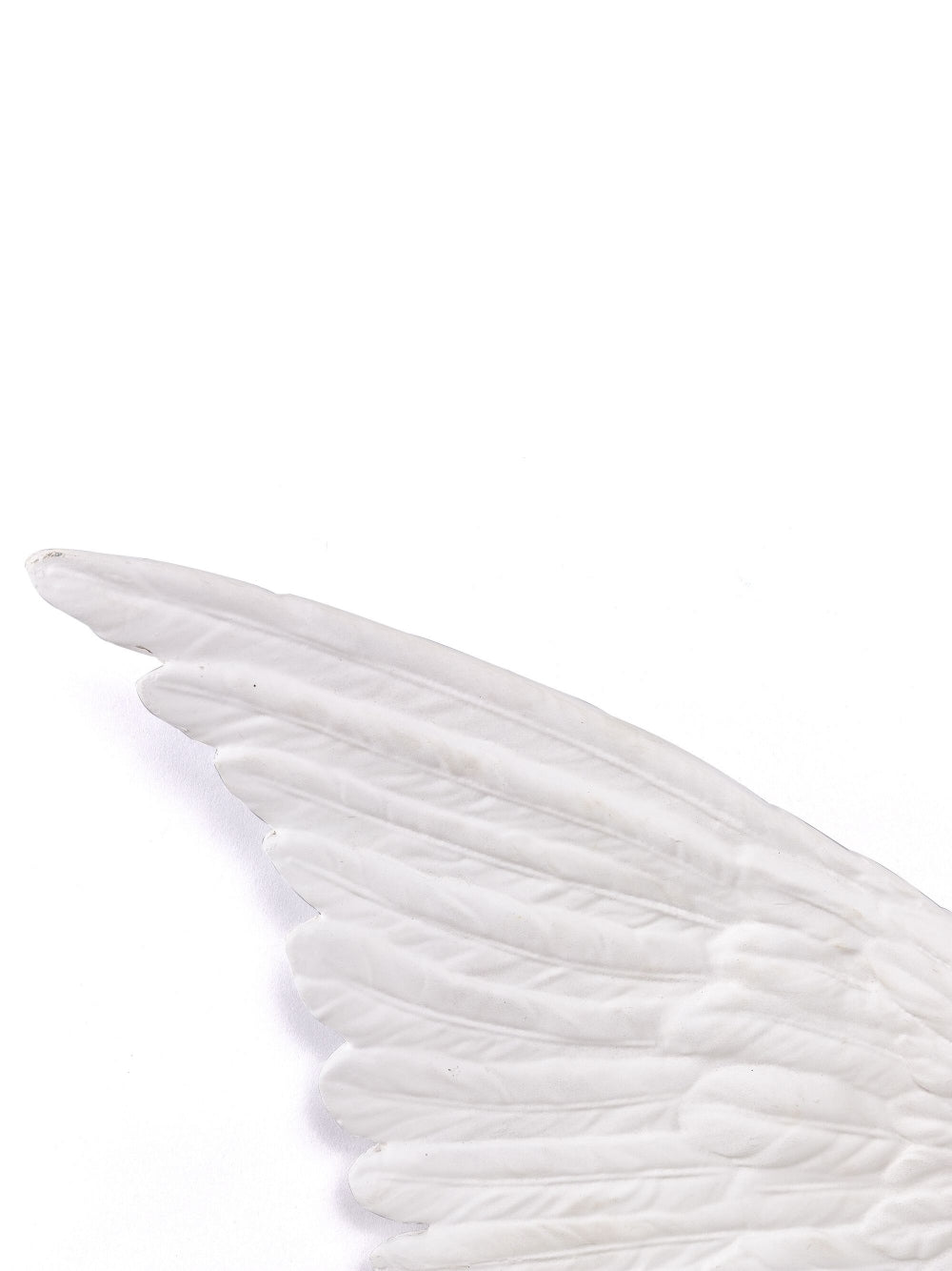 CENTROTAVOLA IN FIBRA DI VETRO"MEMORABILIAMVSEVM-WINGS LEFT"Cm.80x32h.17