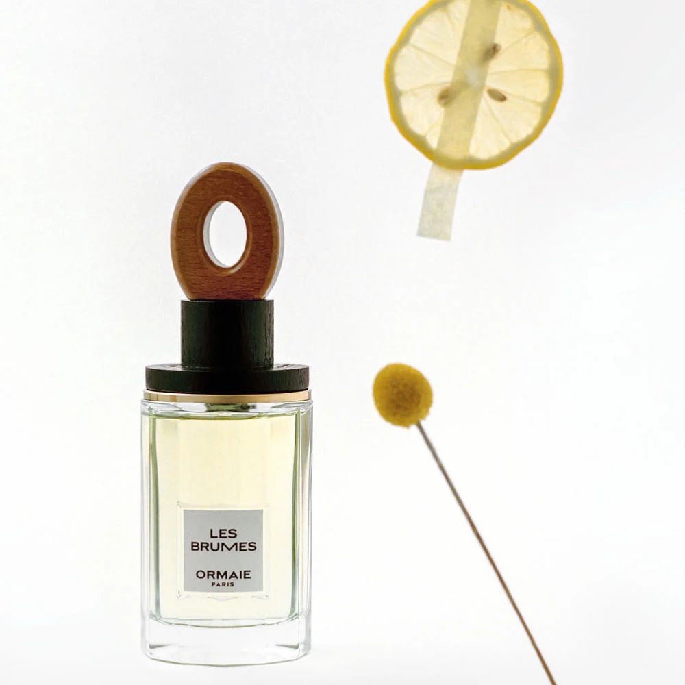 LES BRUMES TRAVEL SPRAY