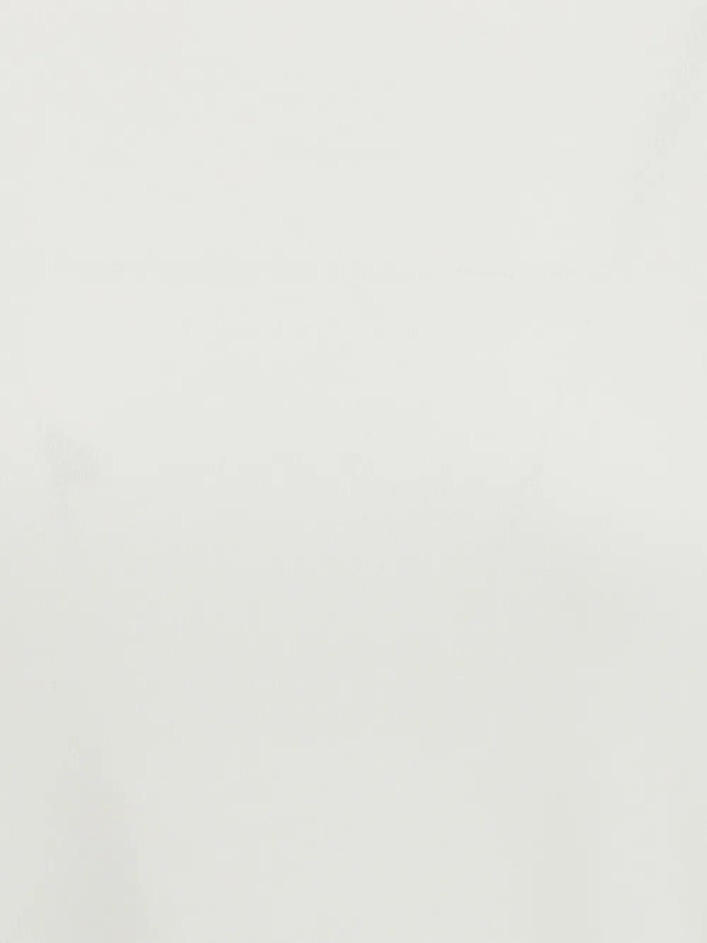 n°451 lisa