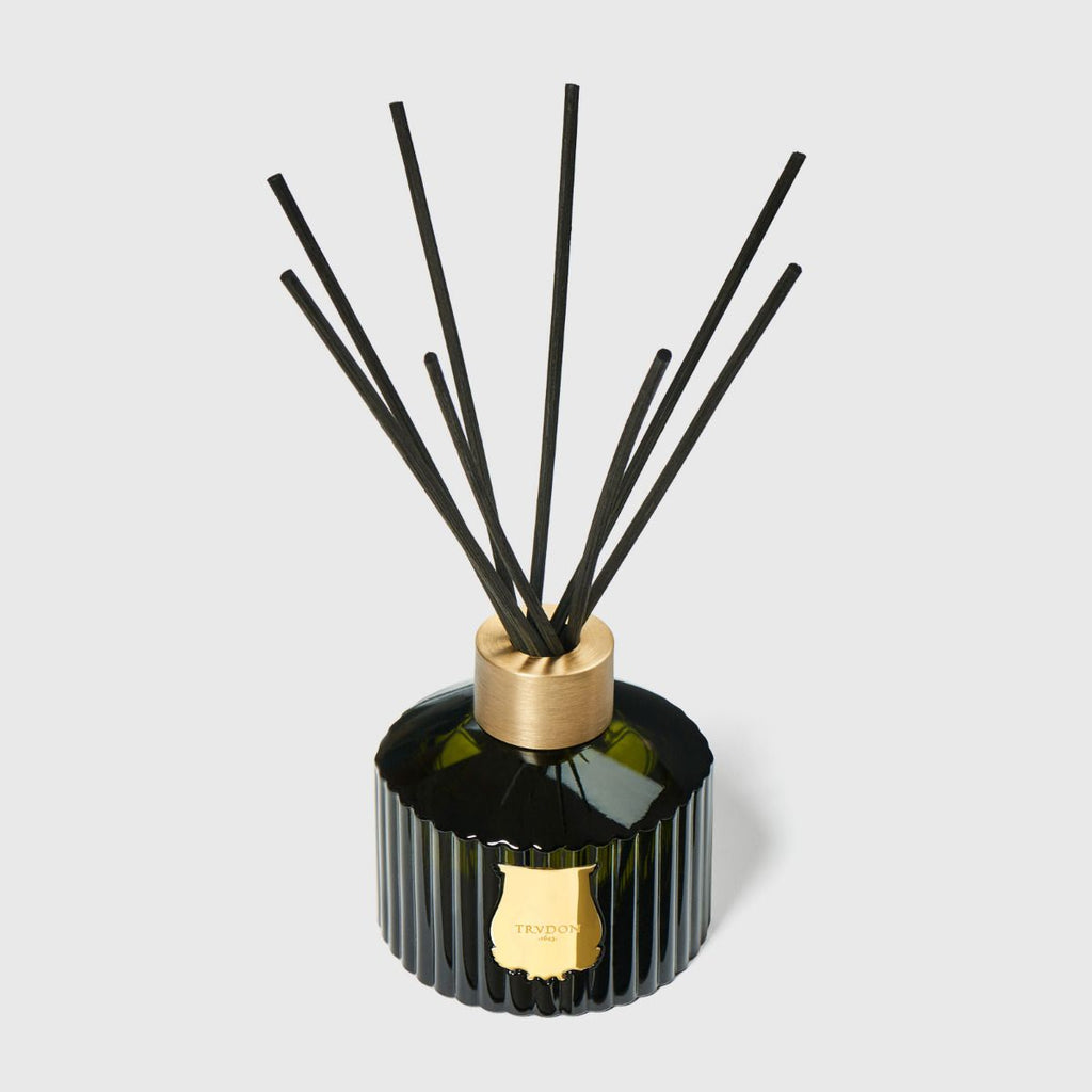 LE DIFFUSEUR SPIRITUS  SANCTI