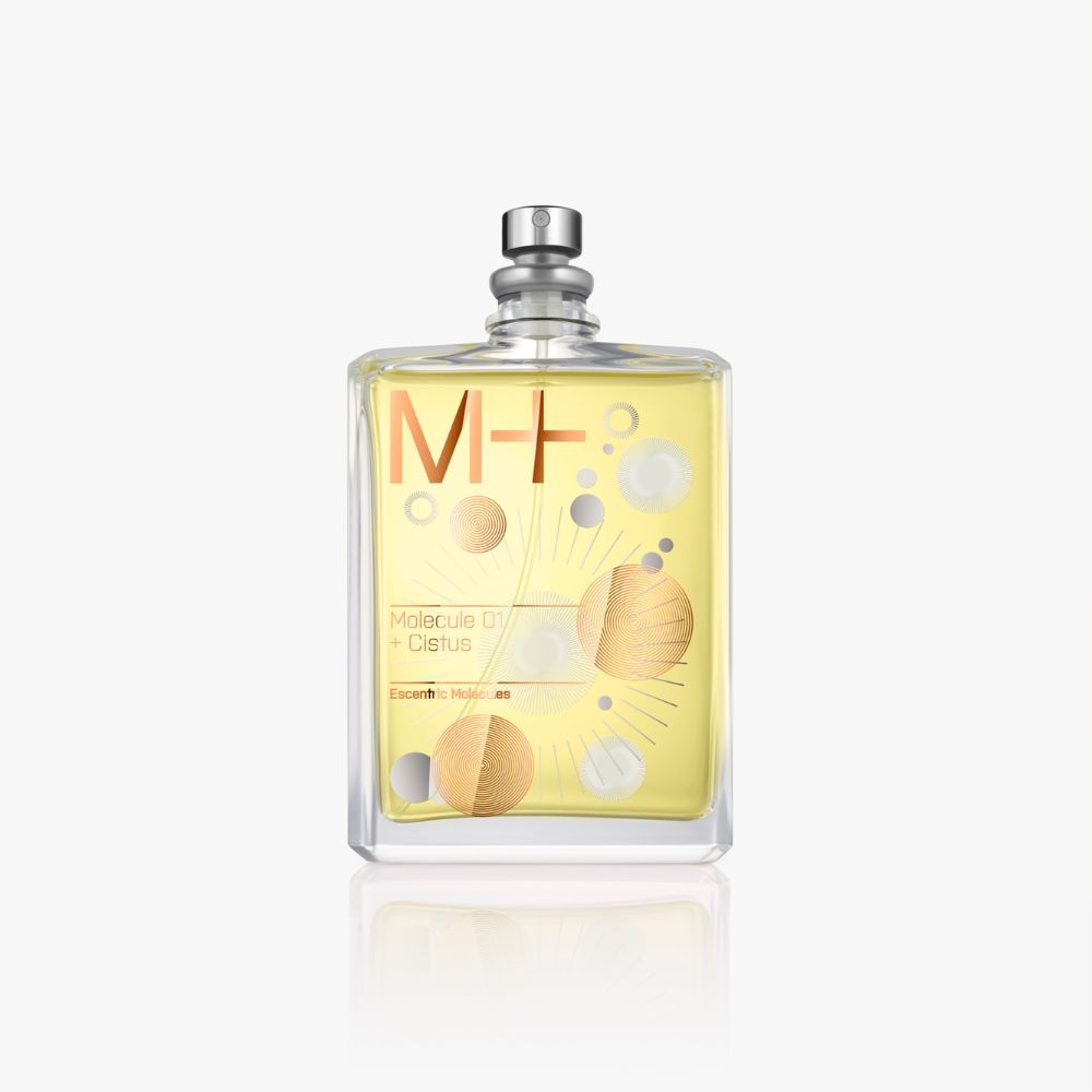 M + CISTUS  Profondità radiosa. Una nebbia di calore, pura, coriacea e duratura.