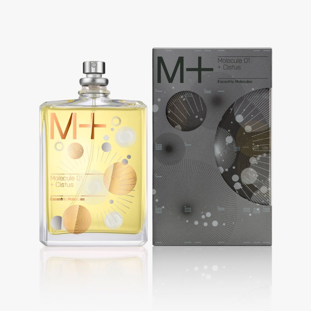 M + CISTUS  Profondità radiosa. Una nebbia di calore, pura, coriacea e duratura.